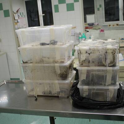 Von den Tätern fehlt noch jede Spur