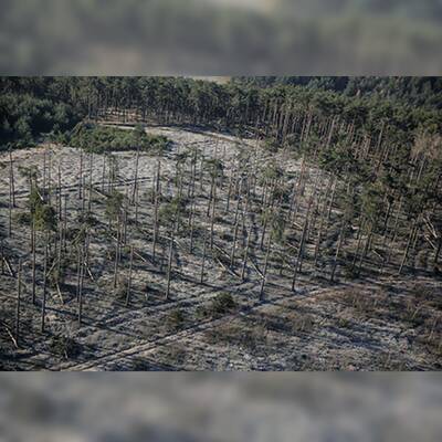 So enorm sind die Schäden