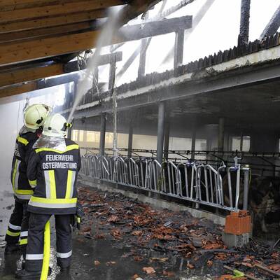 Blitzschlag: Brand auf Anwesen in Tarsdorf
