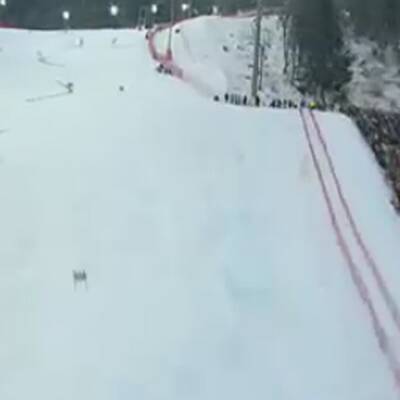 Die Bilder des Herren Riesentorlaufes