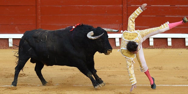 Stier rammt Matador Horn in den Hintern