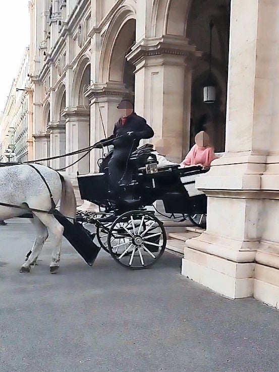 Fiaker-Skandal: Kutscher zwingt Pferde über Stufen