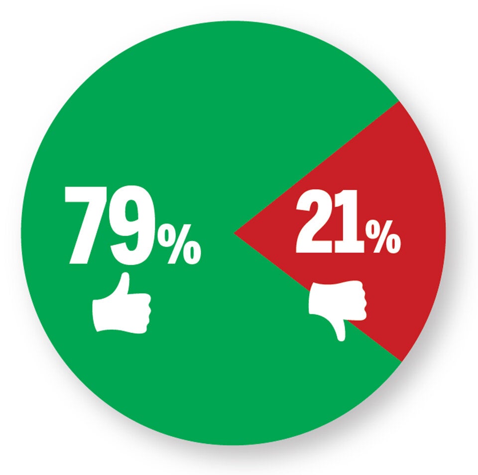 1 Jahr nach Wahl: ÖVP top, Grüne in Not