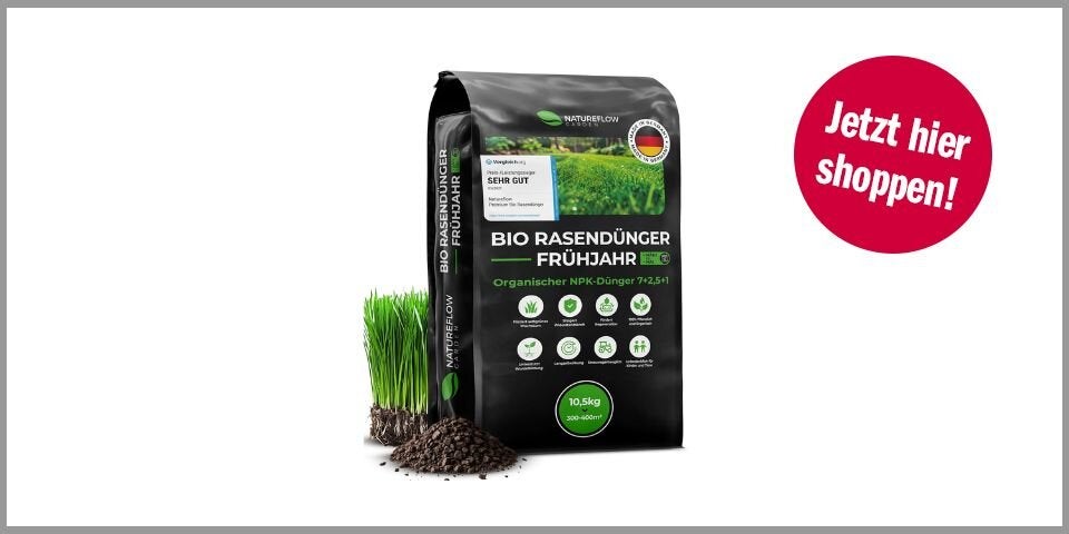 Shopping CH Rasendünger Bio-Rasendünger Frühjahr & Sommer