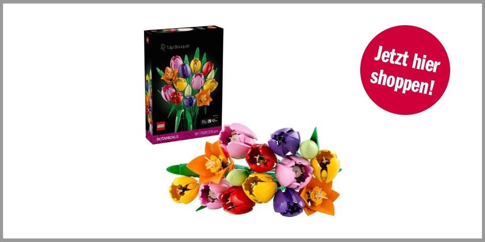 LEGO Botanicals Tulpenstrauß (Set 11501) – für 46,38 statt 60,49 Euro bei Amazon*