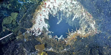 Experten warnen: Riesiger Unterwasser-Vulkan kurz vor Ausbruch
