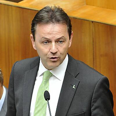 Die Bilder zur Bienen-Sitzung