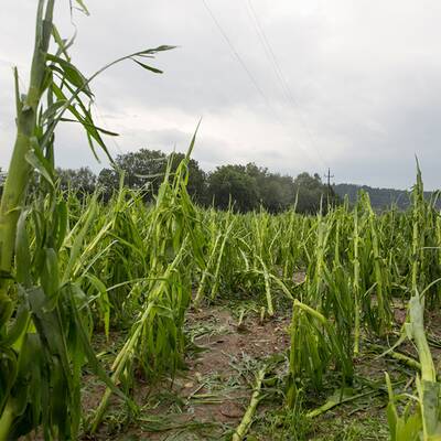 Hagel aus Superzelle