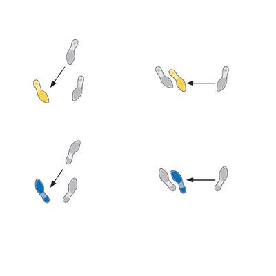 Tanzschritte: Quickstepp