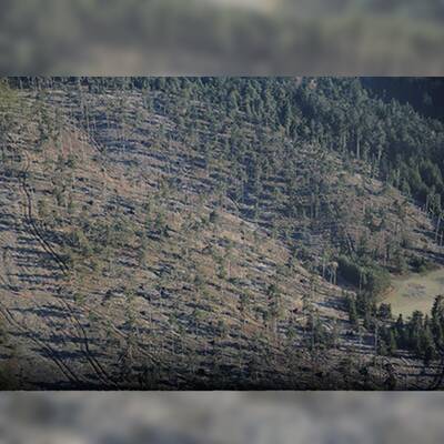 So enorm sind die Schäden