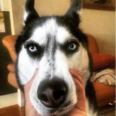 Doc Mike - Der heißeste Arzt auf Instagram 