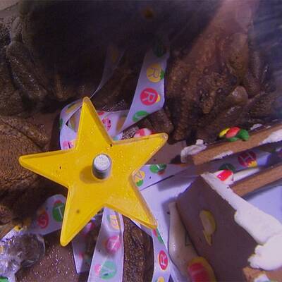 Dschungelcamp: Tag 10