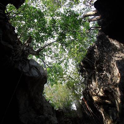 Höhle im Khao-Yai Nationalpark / Thailand