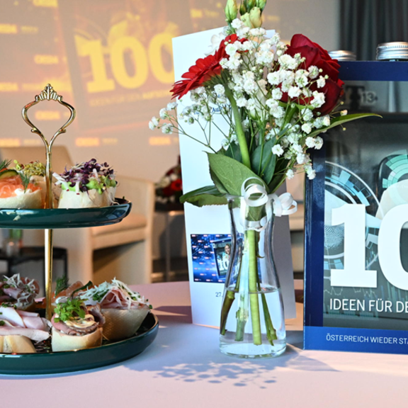 100 Ideen für den Aufschwung in Österreich