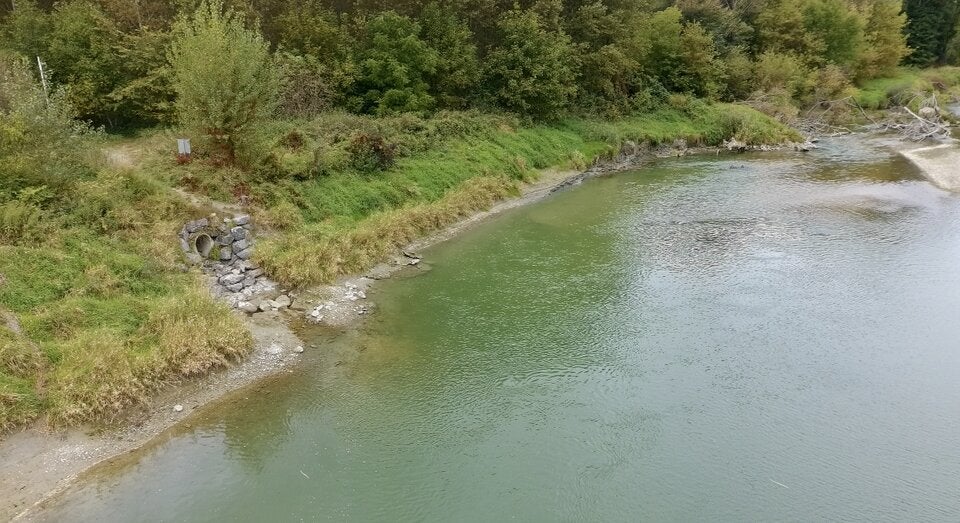 Laut Polizei Pilnaceks Einstiegsstelle ins Wasser des Donauseitenarms.