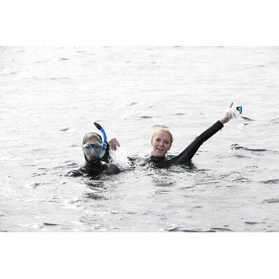 Der Bachelor - Folge vom 25.1