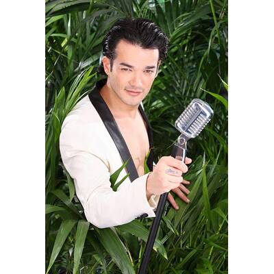 Ich bin ein Star - holt mich hier raus: Die Stars der Dschungel-Show von RTL