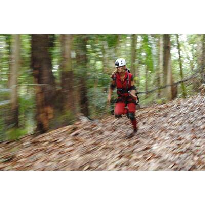 Tag 4 im Dschungelcamp: Alle Bilder