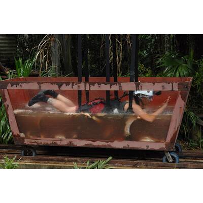 Tag 1 im Dschungelcamp