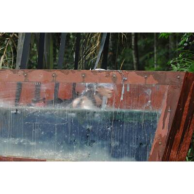 Tag 4 im Dschungelcamp: Alle Bilder