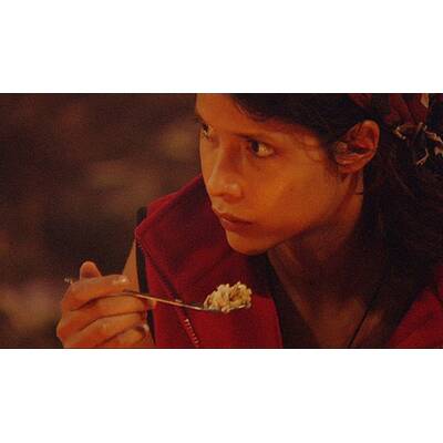 Tag 8 im Dschungelcamp