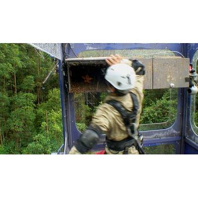 Tag 11 im Dschungelcamp