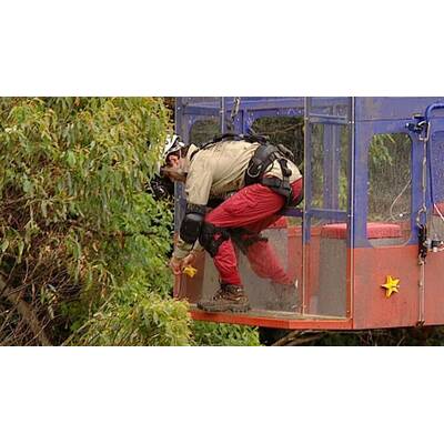 Tag 11 im Dschungelcamp