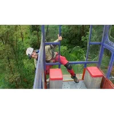 Urwald-Kämpfer Rocco: Seine besten Bilder