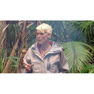 Tag 11 im Dschungelcamp