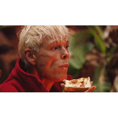 Tag 1 im Dschungelcamp