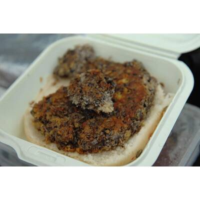 Tag 12 im Dschungelcamp: Alle Bilder