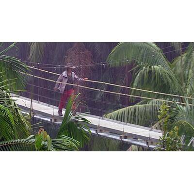 Tag 13 im Dschungelcamp: Alle Bilder