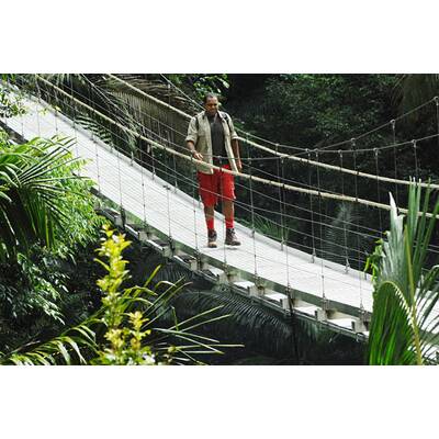 Tag 14 im Dschungelcamp: Alle Bilder