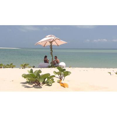 Der Bachelor - Das Halbfinale am 15.2