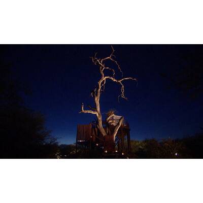 Der Bachelor - Das Halbfinale am 15.2