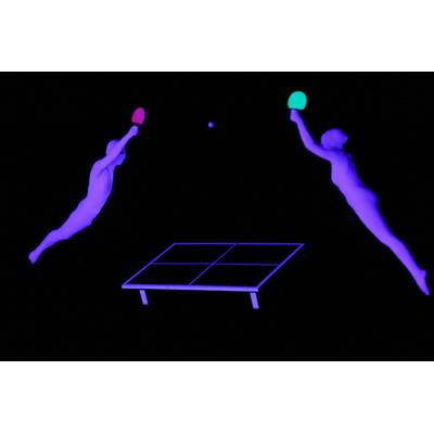 Das Supertalent: Bilder zur Sendung von 1. 12.