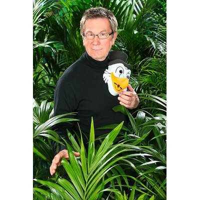 Dschungelcamp 2013: Das sind die 11 Kandidaten