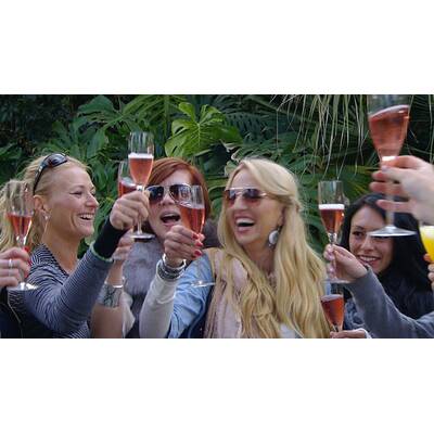 Der Bachelor 2013: Sendung vom 9. Jänner