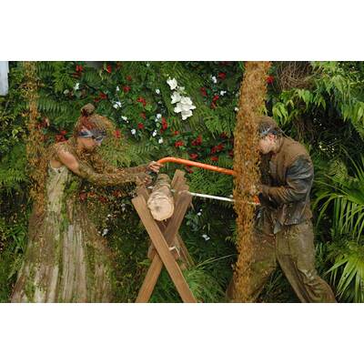 Dschungelcamp 2013: Der erste Tag im Urwald