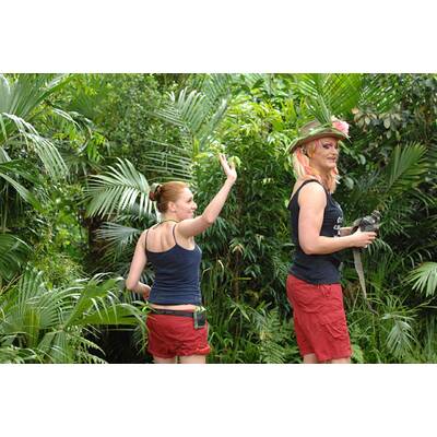 Tag fünf im Dschungelcamp: Alle Bilder