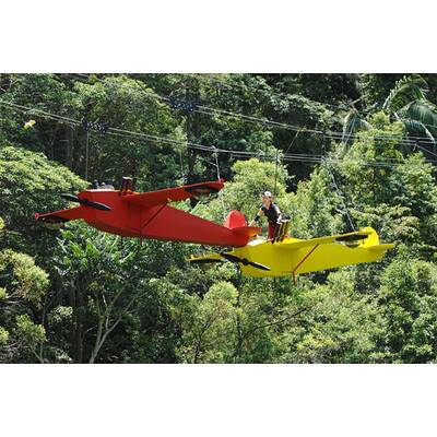 Tag sieben im Dschungelcamp: Alle Bilder