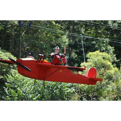 Tag sieben im Dschungelcamp: Alle Bilder