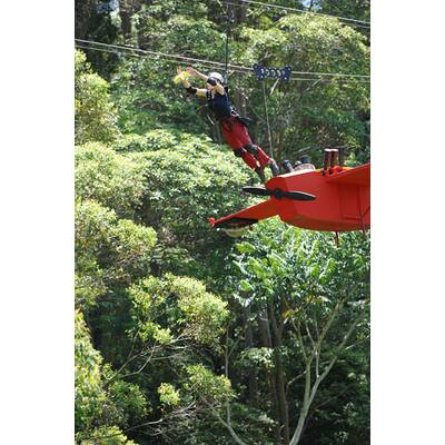 Tag sieben im Dschungelcamp: Alle Bilder