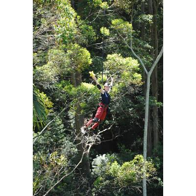 Tag sieben im Dschungelcamp: Alle Bilder