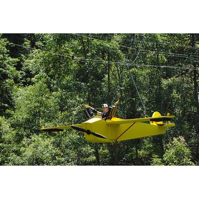 Tag sieben im Dschungelcamp: Alle Bilder