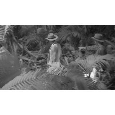 Tag sieben im Dschungelcamp: Alle Bilder