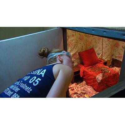 Tag acht im Dschungelcamp: Alle Bilder