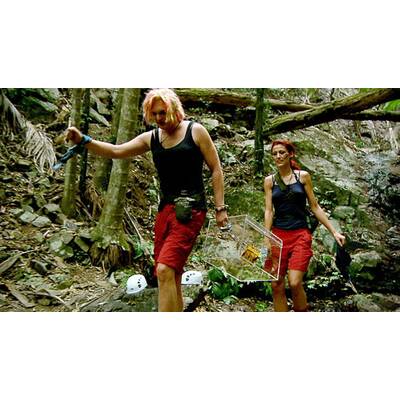 Tag acht im Dschungelcamp: Alle Biler