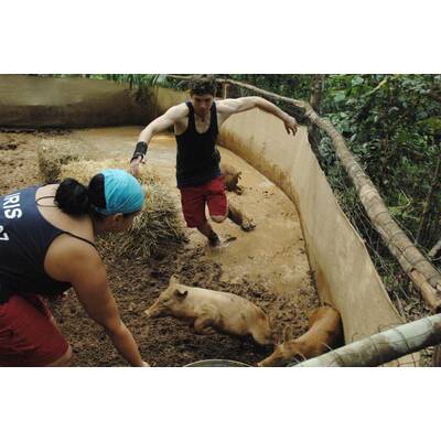 Tag neun im Dschungel-Camp: Alle Bilder