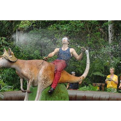 Tag elf im Dschungelcamp: Alle Bilder